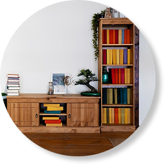 list item image